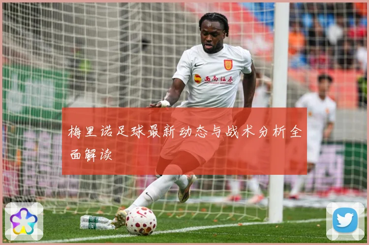 梅里诺足球最新动态与战术分析全面解读