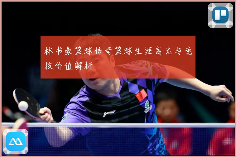 林书豪篮球传奇篮球生涯高光与竞技价值解析
